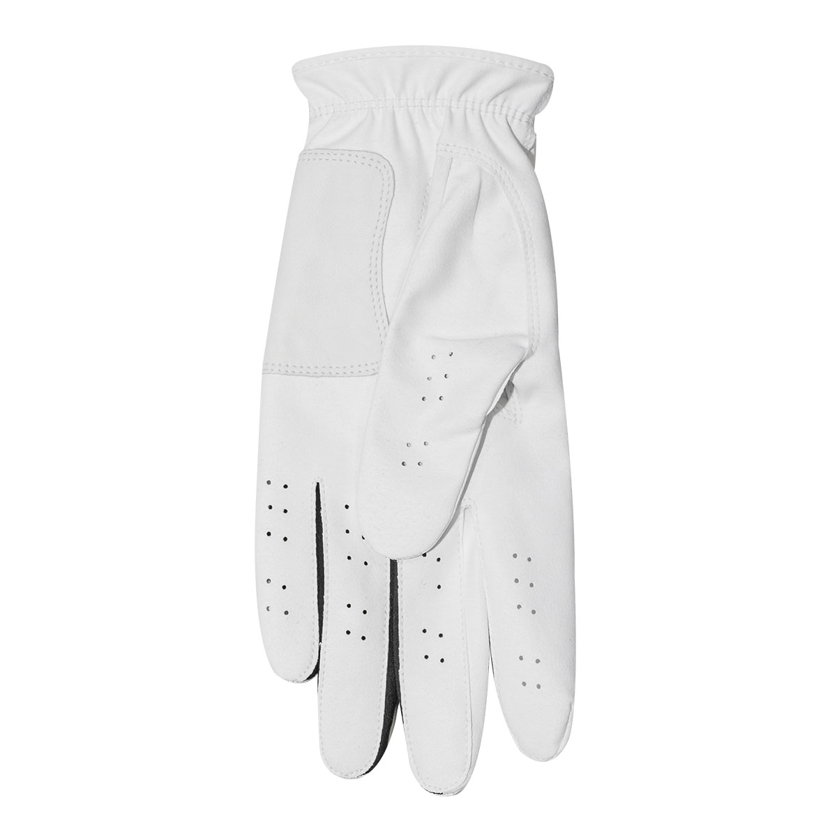 Greg Norman Men's Golf Gloves - 2 Pack from american golf